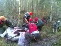 Ronon kaadolla 2006